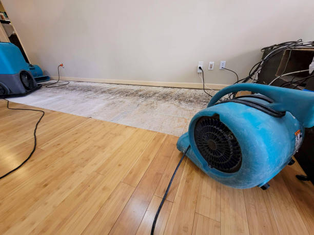 Professional Water Damage Repair technician working in Rushmore, MN